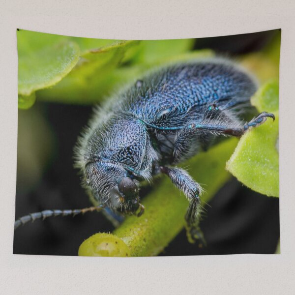 Item preview, A metallic blue leaf beetle! (Trichochrysea hirta) relaxing on the petiole  designed and sold by AvonPerception.