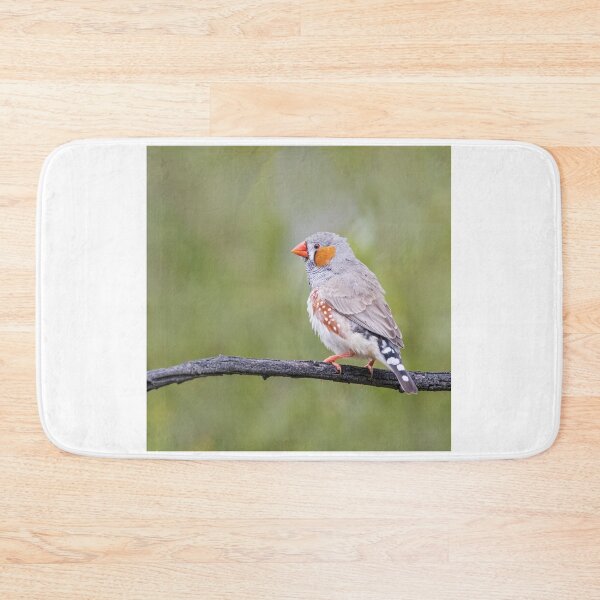 Item preview, Mr Zebra Finch designed and sold by David  Hibberd.