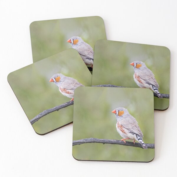 Item preview, Mr Zebra Finch designed and sold by David  Hibberd.