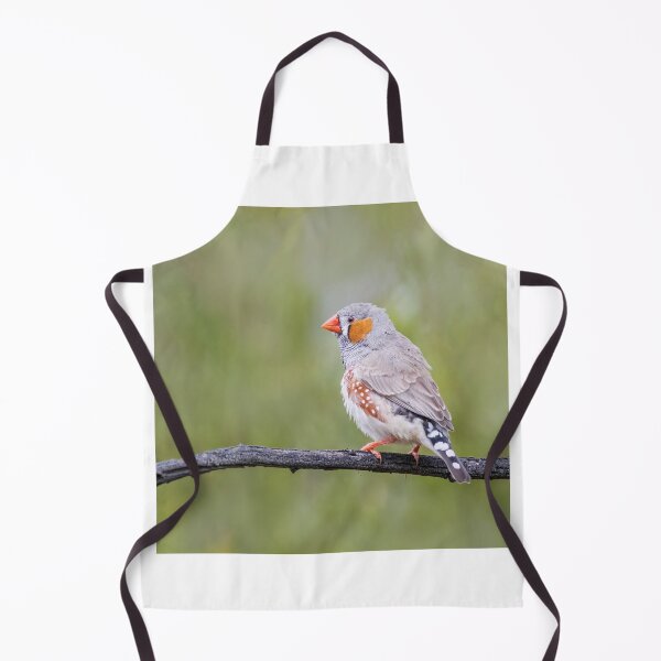 Item preview, Mr Zebra Finch designed and sold by David  Hibberd.