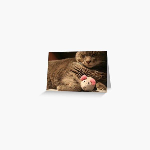 Ok, we can be friends... Greeting Card