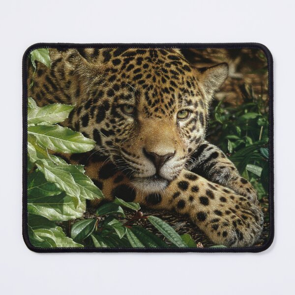 Item preview, Jaguar - En reposo designed and sold by Collin Bogle.