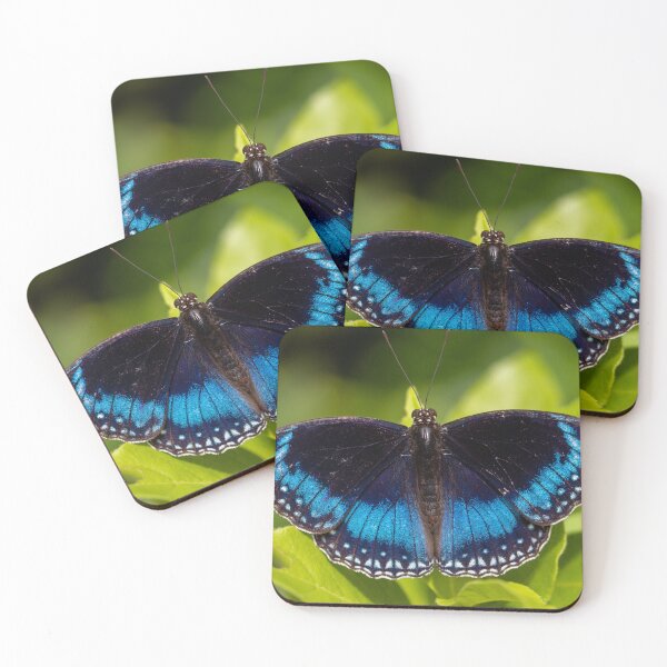 Item preview, Butterfly 7 designed and sold by Jacquiamber.