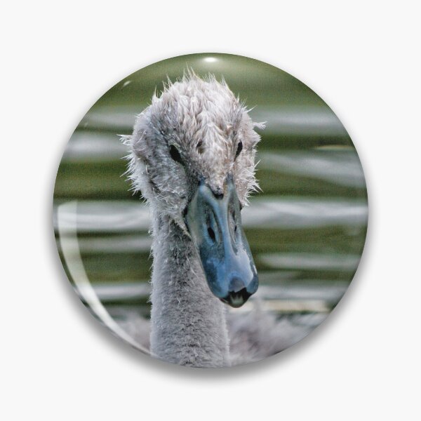 Item preview, Cygnet designed and sold by Jellycandy.