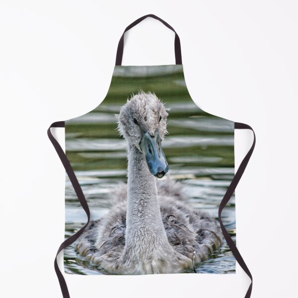 Item preview, Cygnet designed and sold by Jellycandy.
