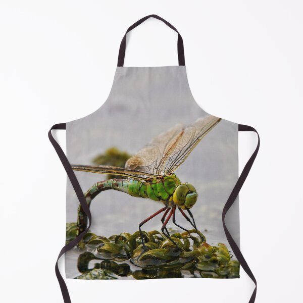 Item preview, Hawker Lays her Eggs designed and sold by Jellycandy.