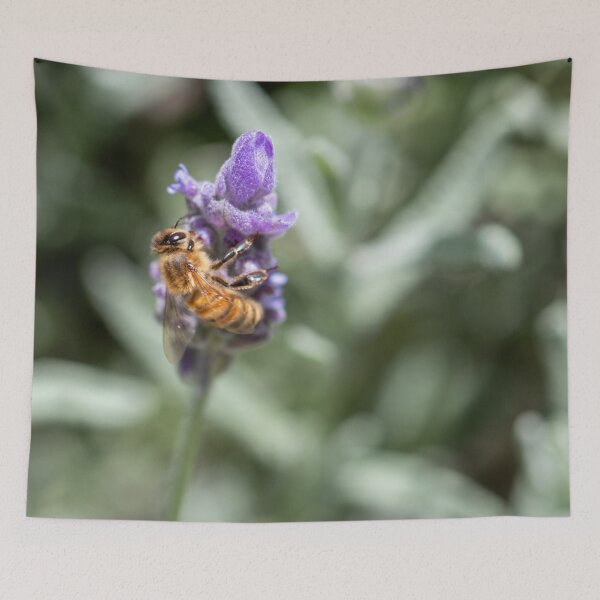 Item preview, Honey Bee 6 designed and sold by Jacquiamber.