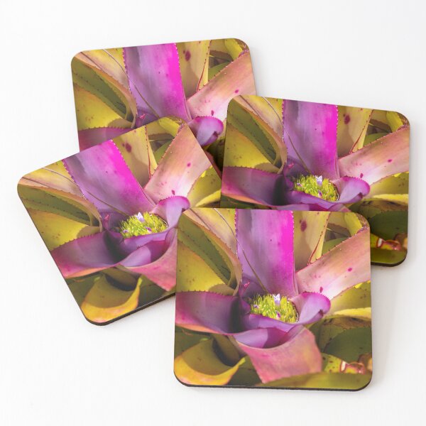 Item preview, Bromeliad 2 designed and sold by Jacquiamber.