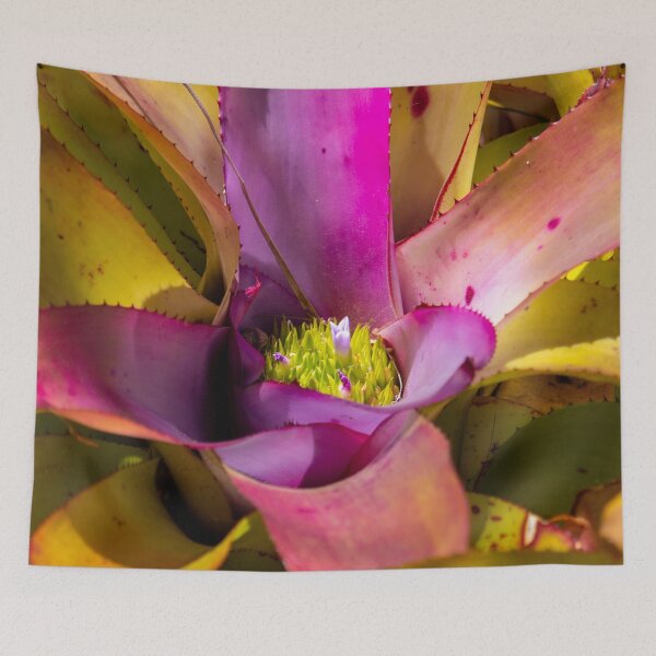 Item preview, Bromeliad 2 designed and sold by Jacquiamber.