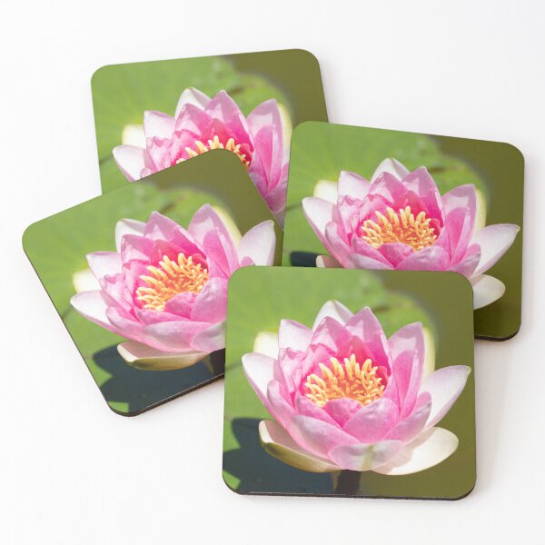 Item preview, Lotus 2 designed and sold by Jacquiamber.