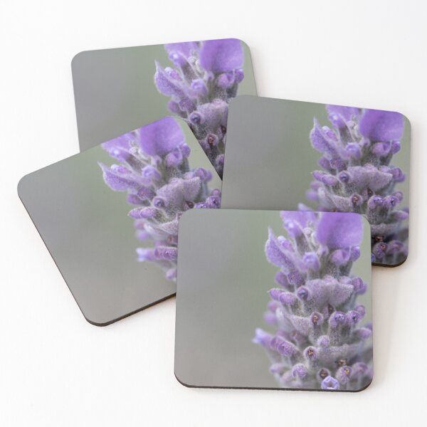 Artikelvorschau, Lavender entworfen und verkauft von Jacquiamber.
