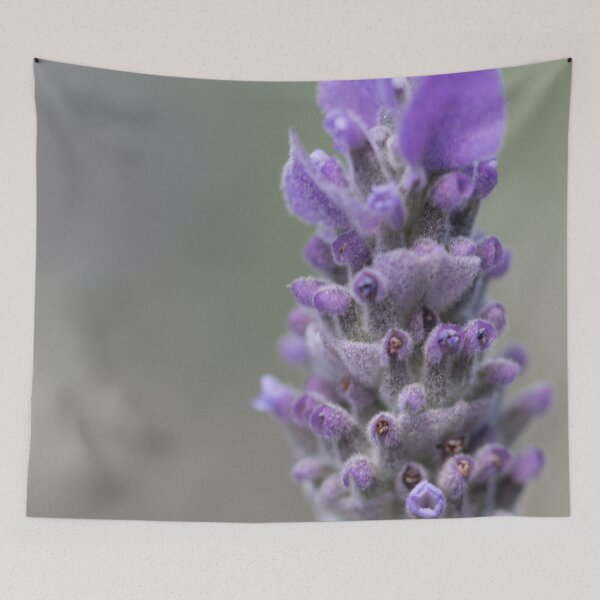 Item preview, Lavender designed and sold by Jacquiamber.