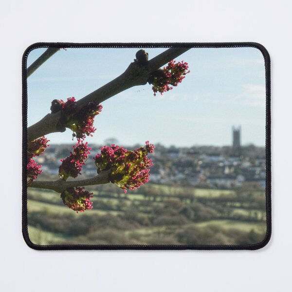 Item preview, “ Upon Ash Valley “ designed and sold by Richard Couchman.