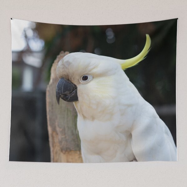Item preview, Cockatoo designed and sold by Jacquiamber.