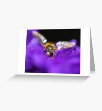 iNsect Greeting Card