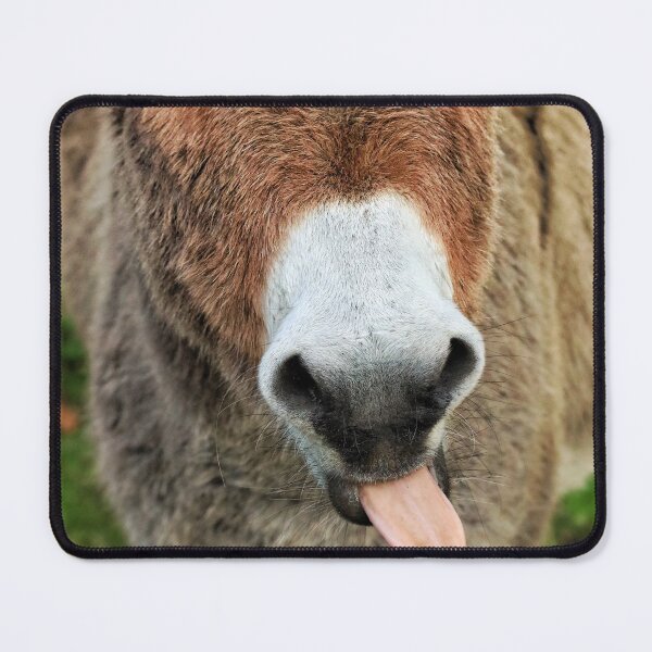 Item preview, Cheeky Donkey designed and sold by Jellycandy.