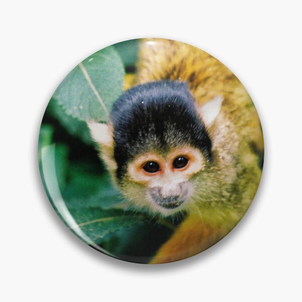 Item preview, Monkey Business designed and sold by Jellycandy.