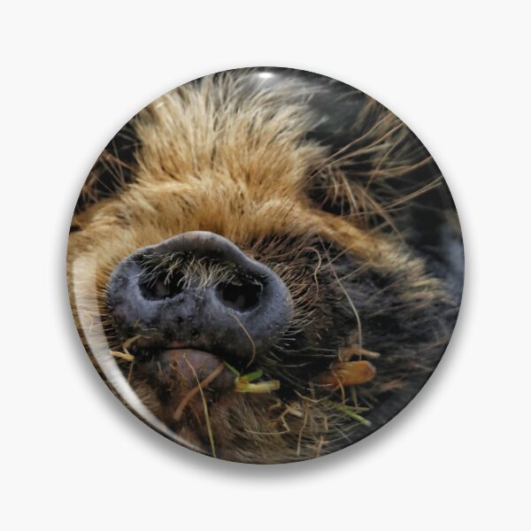 Item preview, Kunekune pig - part 1 designed and sold by Jellycandy.