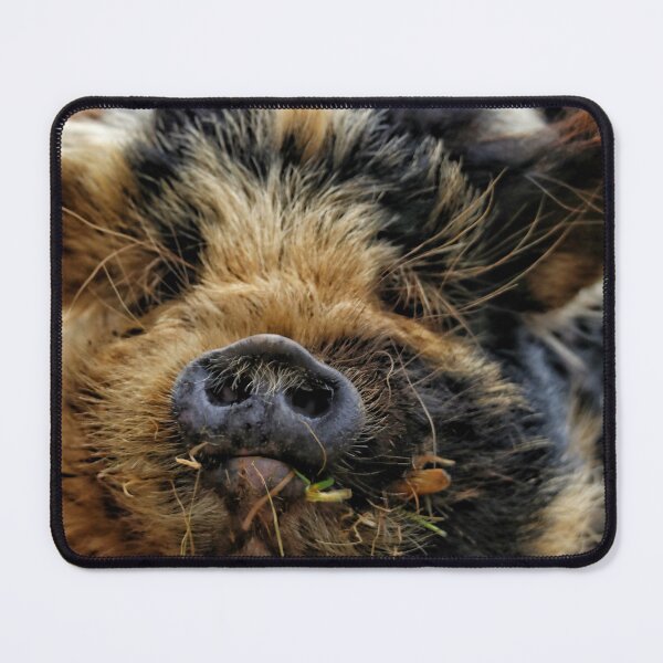 Item preview, Kunekune pig - part 1 designed and sold by Jellycandy.