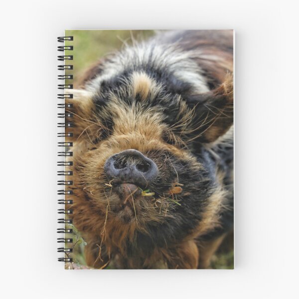 Item preview, Kunekune pig - part 1 designed and sold by Jellycandy.