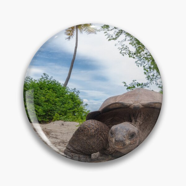 Item preview, Giant tortoise designed and sold by Epicbyerika.