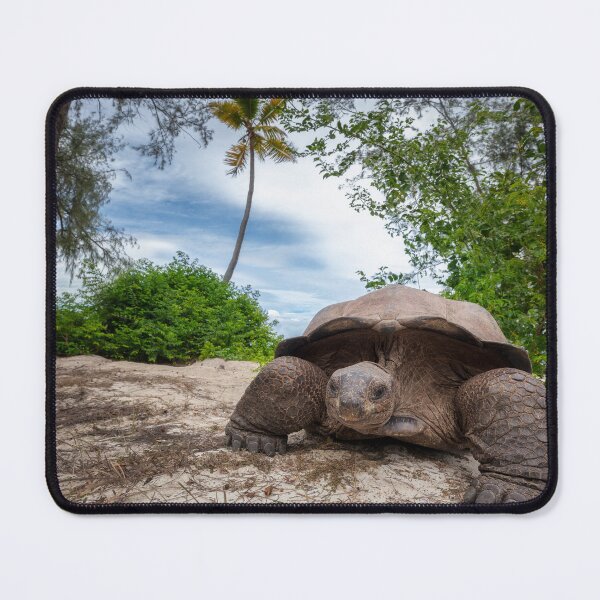 Item preview, Giant tortoise designed and sold by Epicbyerika.