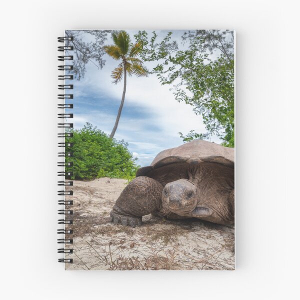 Item preview, Giant tortoise designed and sold by Epicbyerika.