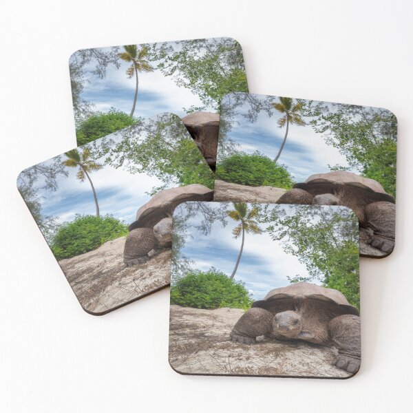 Item preview, Giant tortoise designed and sold by Epicbyerika.