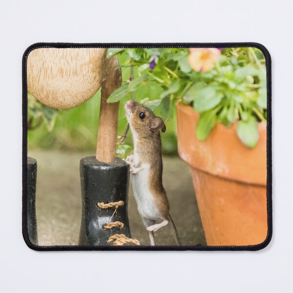 Item preview, Wood Mouse and Boot designed and sold by Jane Stanley Photography.