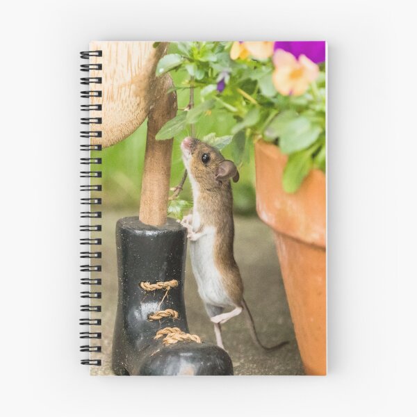 Item preview, Wood Mouse and Boot designed and sold by Jane Stanley Photography.