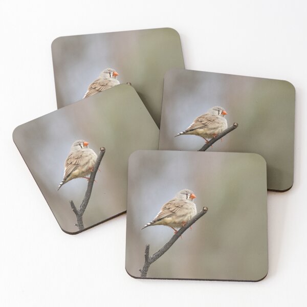 Item preview, Mrs Zebra Finch designed and sold by David  Hibberd.