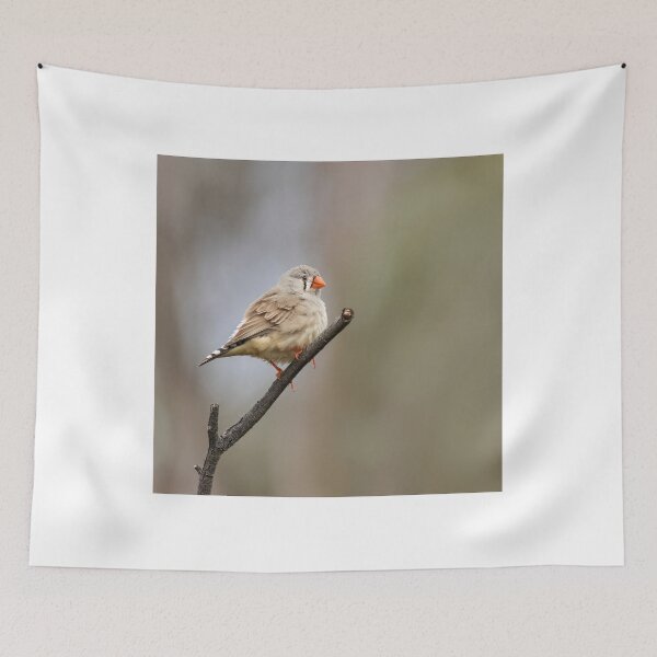 Item preview, Mrs Zebra Finch designed and sold by David  Hibberd.