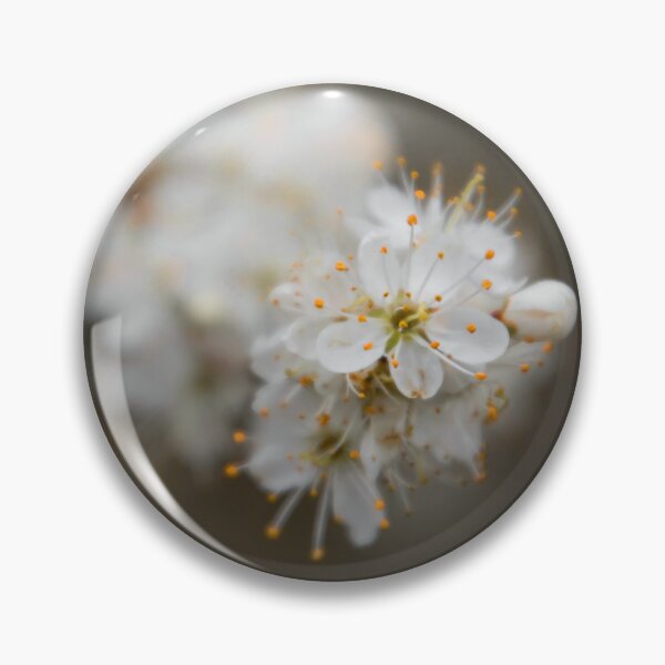 Item preview, Blackthorn designed and sold by JEZ22.