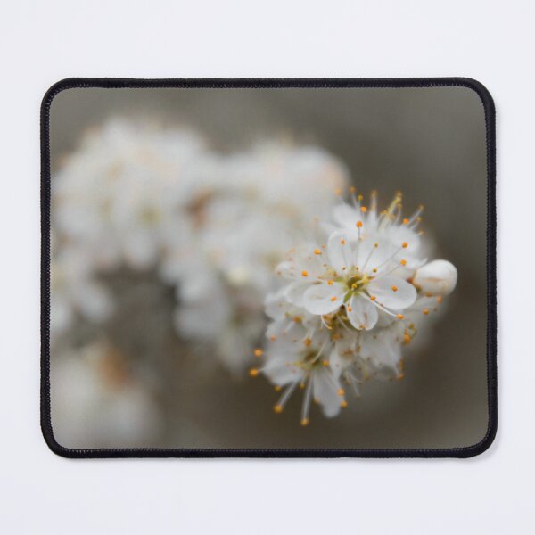 Item preview, Blackthorn designed and sold by JEZ22.