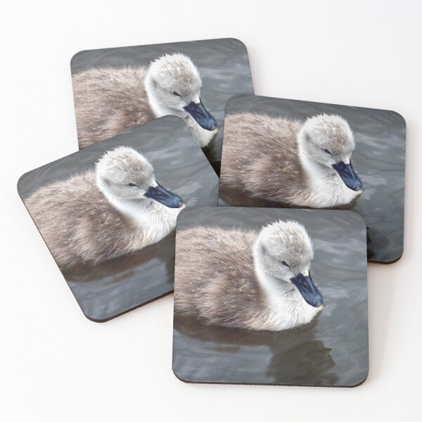 Item preview, Cygnet in the Rain designed and sold by Viv Thompson Photography .