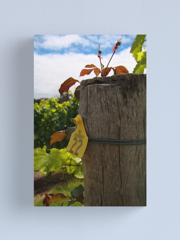 Alternate view of Chardonnay Canvas Print