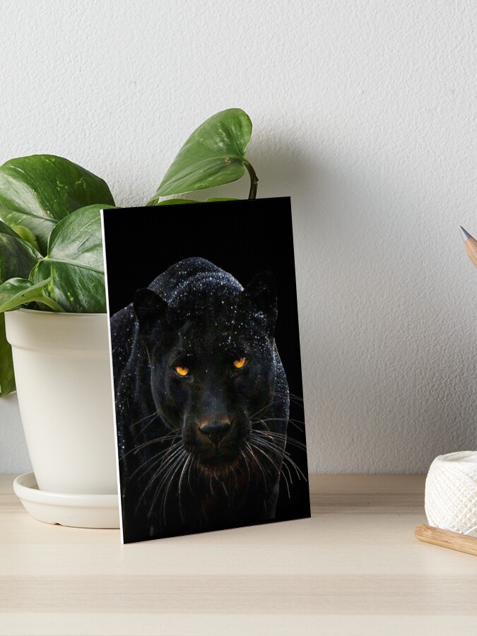 Black panther Art Board Print for Sale by Mystery1