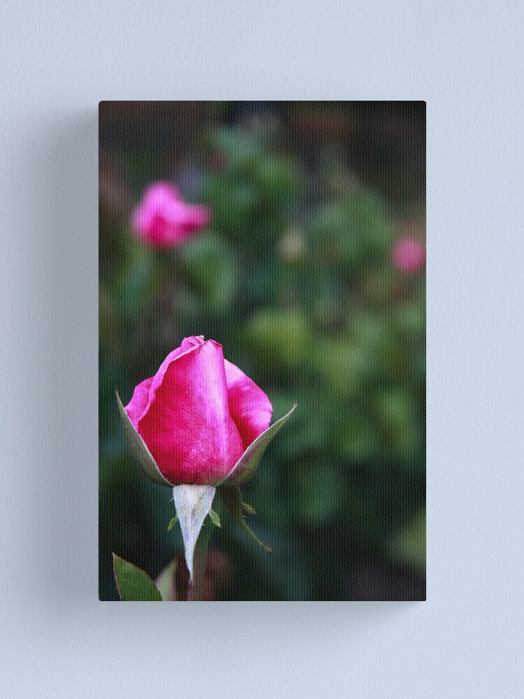 Alternate view of Pink rose Canvas Print