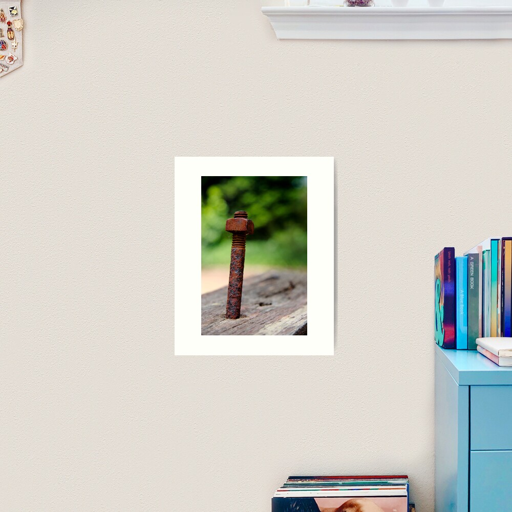 Nut & bolt Art Print