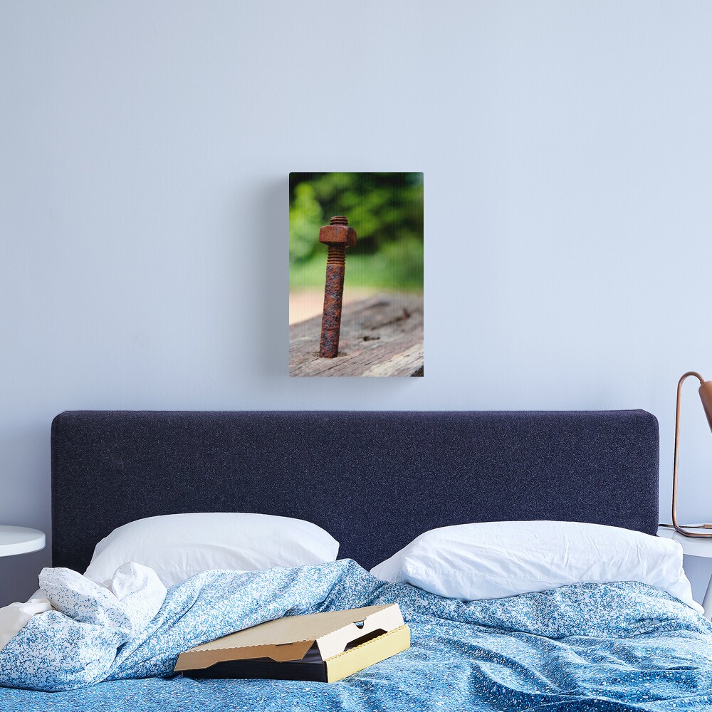 Nut & bolt Canvas Print