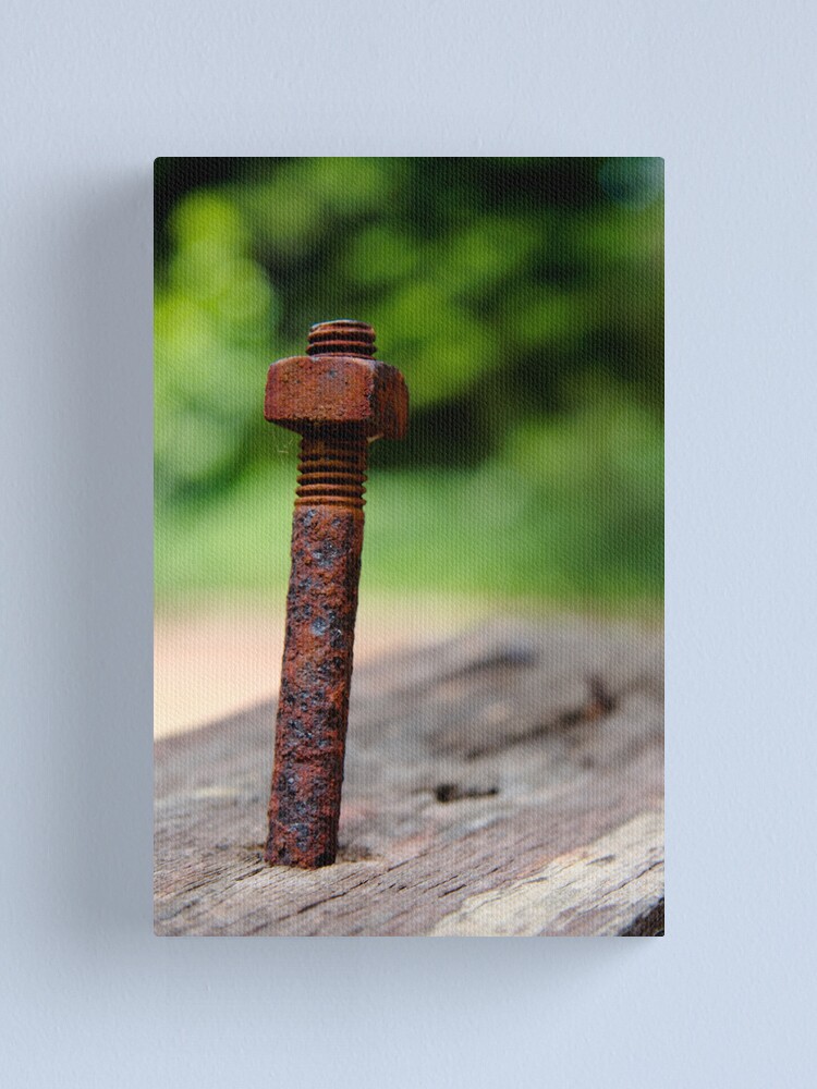 Alternate view of Nut & bolt Canvas Print