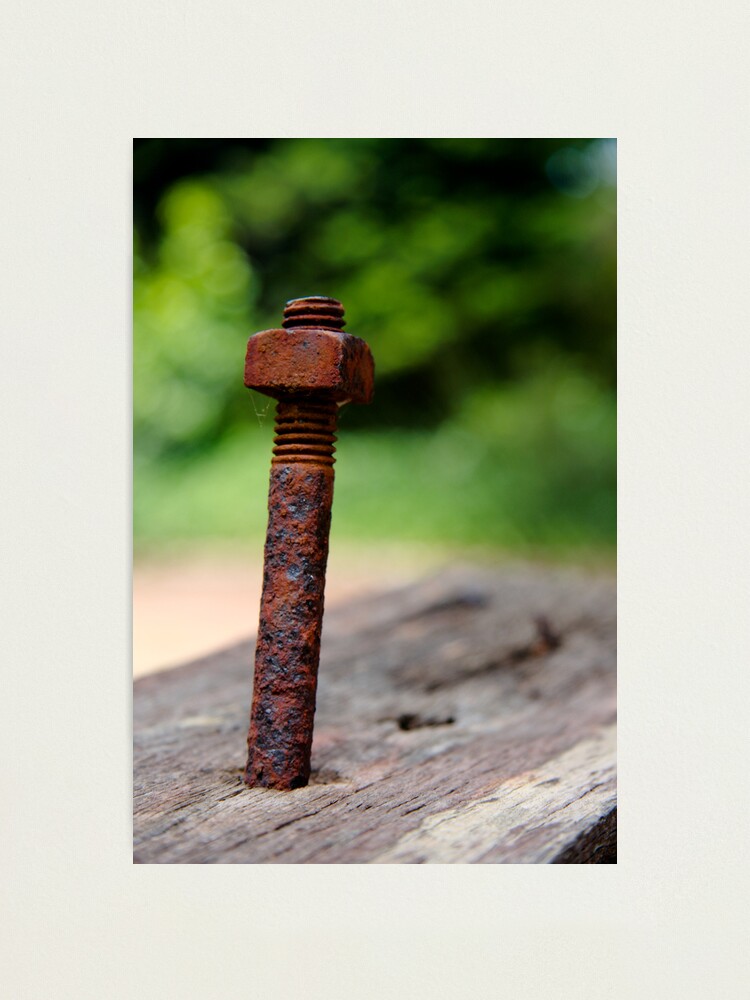 Alternate view of Nut & bolt Photographic Print
