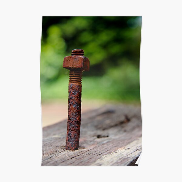 Nut & bolt Poster