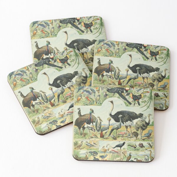 Item preview, Birds (1897-1904) - Nouveau Larousse illustré designed and sold by SALON DES ARTS.