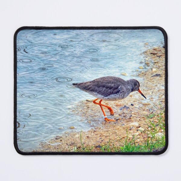 Item preview, Redshank designed and sold by Viv Thompson Photography .