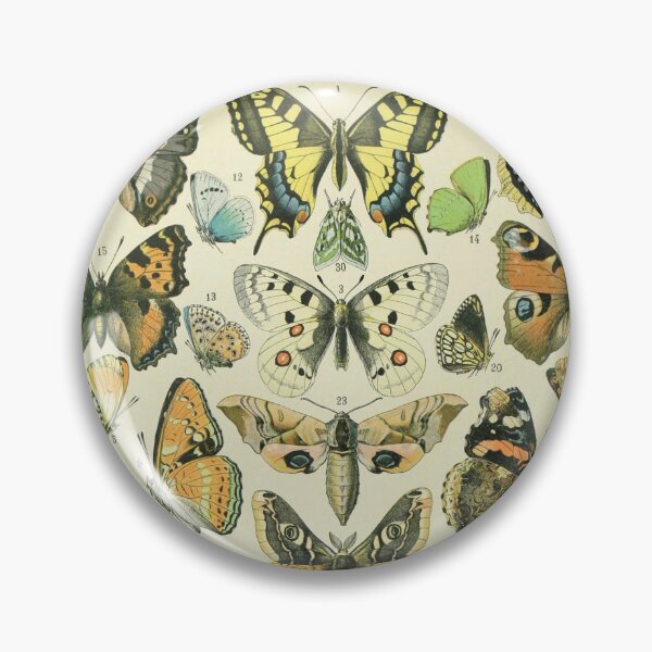 Item preview, Butterflies (1897-1904) - Nouveau Larousse illustré designed and sold by SALON DES ARTS.