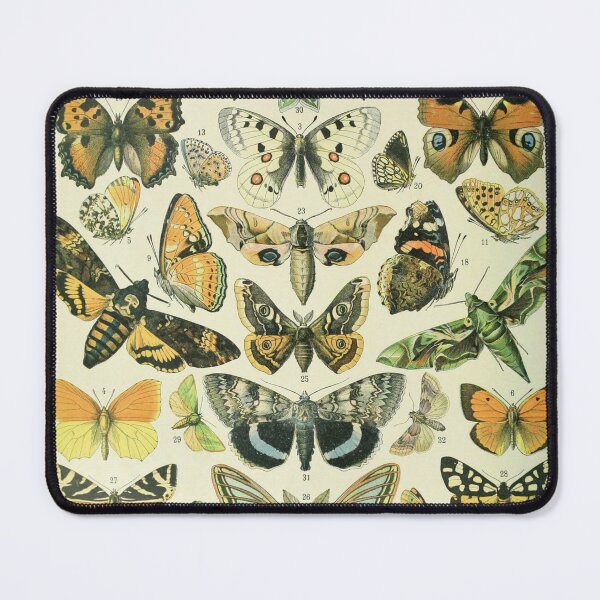 Item preview, Mariposas (1897-1904) - Nouveau Larousse illustré designed and sold by SALON DES ARTS.