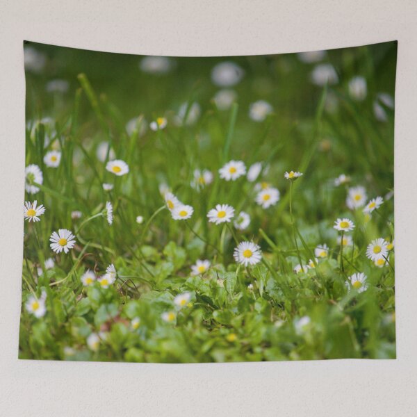 Item preview, Daisies designed and sold by Jacquiamber.