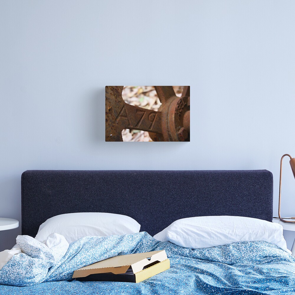 A79 Canvas Print