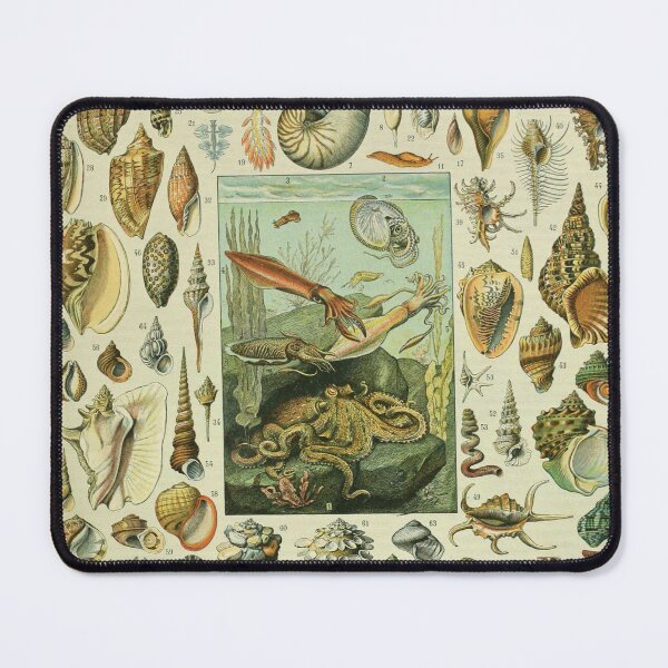 Item preview, Moluscos (1897-1904) - Nouveau Larousse illustré designed and sold by SALON DES ARTS.